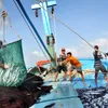 Fishermen excited to go out to sea