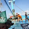 Fishermen set sail for last catches