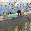 High technology enhances shrimp quality