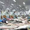 Eight more pangasius factories to be allowed to export to the US