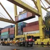 Da Nang Port unloads first cargo of the year