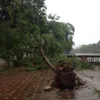 Hanoi: One dead, five injured by typhoon-triggered downpour