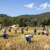 World Economic Forum on Mekong region