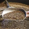 Coffee industry sees new path