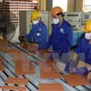 Cuba, VN to make ceramic wares