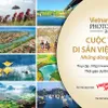 Vietnam Heritage Photo Contest