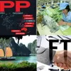 TPP: Opportunities, challenges and actions