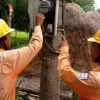 3,300 in Mekong Delta to access electricity