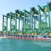 Doosan Vina exports container cranes to Saudi Arabia