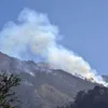 Forest fire breaks out in Hoang Lien Son National Park during Tet