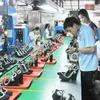 Developing support industries in the leather and footwear sector