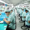 Dong Nai seeks 31 thousand new workers