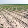 Re-zoning farming areas to cope with droughts