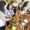 Project lychee launched in the south