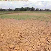 Binh Dinh Province spends $500,000 in drought and salinization relief