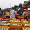 Preferential loans offered for seafood storage