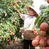 Vietnamese agriculture products claim position in ASEAN market