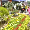 Dalat ready for 2015 flower festival