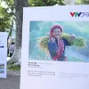 VTV launches new programmes to promote tourism