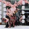 Cherry blossom at Shinnen 2016