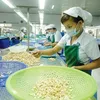 Việt Nam sees enterprise growth