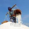 Firms to buy excess salt from City farms