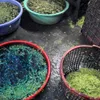 Supplier caught soaking water spinach in chemical in southern Vietnam