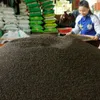 Prices of VN black pepper drop