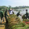 Overcoming agricultural losses caused by floods