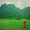 Hollywood crew’s Vietnamese landscape photos wow internet viewers