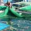 Support measures for lobster farming