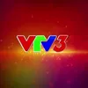 VTV3 – A start-up place