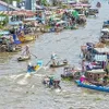 Mekong Delta faces acute fresh water shortage