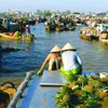 Mekong Delta infrastructure developed