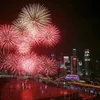 2016 New Year celebration across Vietnam