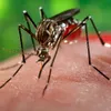 Measures taken to prevent Zika virus