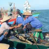 Vietnam concerned about fishermen’s safety at sea