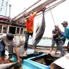 Thailand to receive Vietnamese workers for fishing, construction