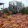 Agro-product export prices fall