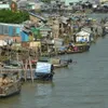 Mekong Delta suffers record salinity levels