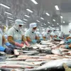 Fish exporters face difficulties in hitting year-end goal