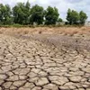 EU provides 90,000 EUR to assist drought-hit communities in Vietnam