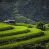 Photographers depict the beauty of Vietnam