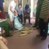 Hà Nội police seize large amount of elephant tusks