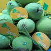 Dong Thap promotes fruit exports