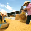 Vietnam hopeful about rice exports