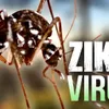 Health ministry further investigates South Korean Zika case