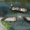 Alarming water pollution