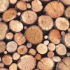 Preparations for wood origin tracking needed