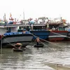 Fishing productivity in Thua Thien Hue increases